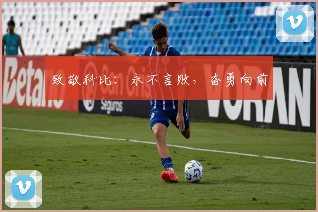 致敬科比：永不言败，奋勇向前