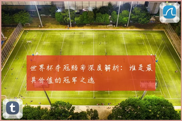 世界杯夺冠赔率深度解析：谁是最具价值的冠军之选