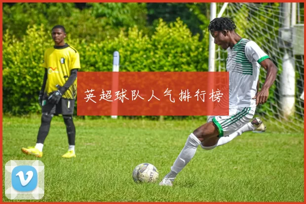 英超球队人气排行榜
