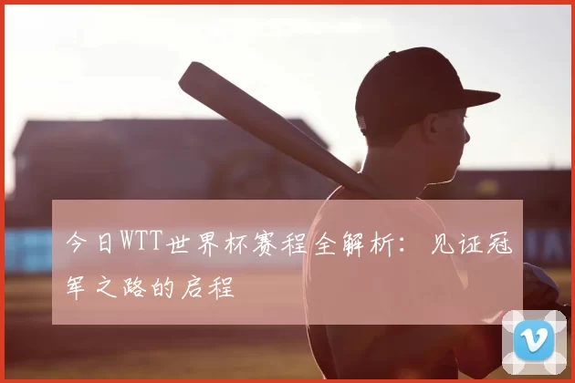 今日WTT世界杯赛程全解析：见证冠军之路的启程