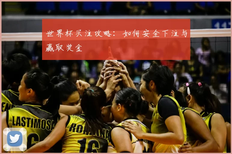 世界杯买注攻略：如何安全下注与赢取奖金