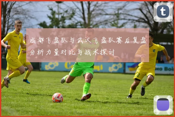 成都飞盘队与武汉飞盘队赛后复盘分析力量对比与战术探讨