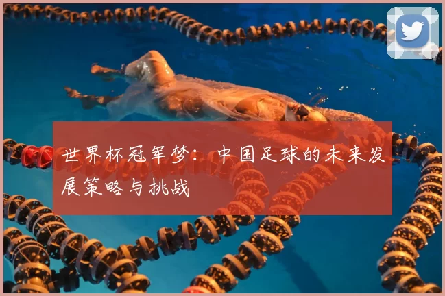 世界杯冠军梦:中国足球的未来发展策略与挑战