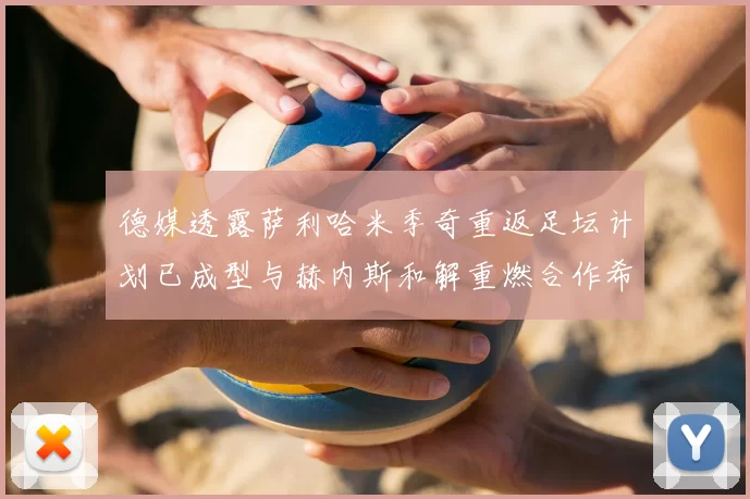 德媒透露萨利哈米季奇重返足坛计划已成型与赫内斯和解重燃合作希望