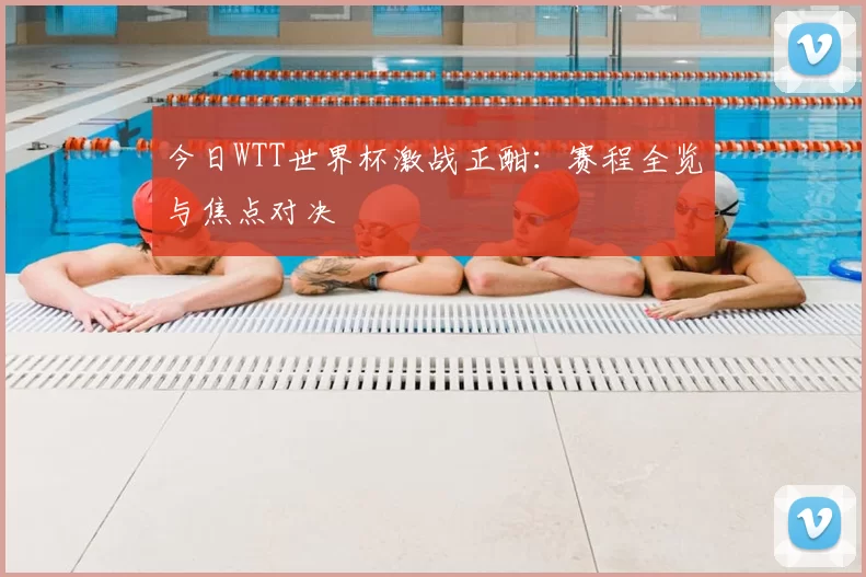 今日WTT世界杯激战正酣：赛程全览与焦点对决