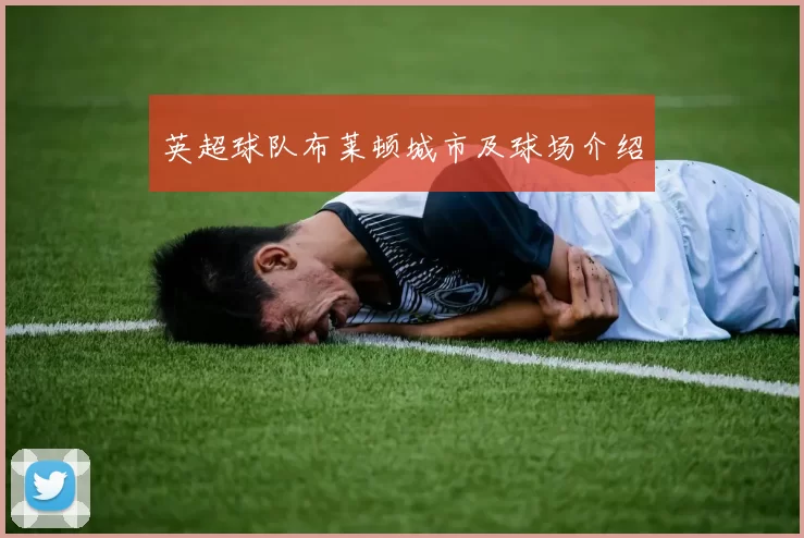 英超球队布莱顿城市及球场介绍