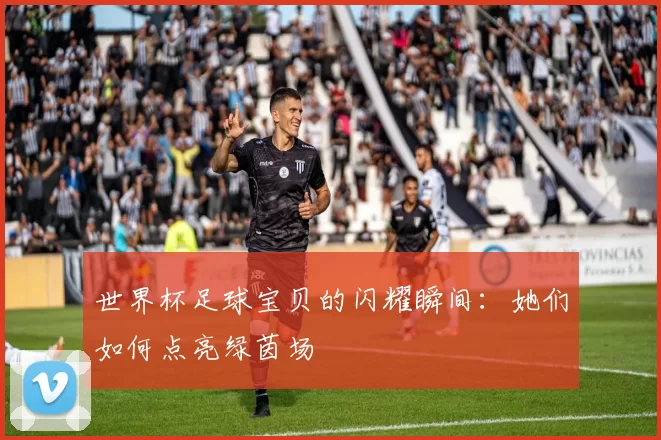 世界杯足球宝贝的闪耀瞬间：她们如何点亮绿茵场