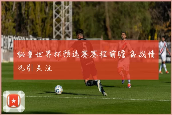 秘鲁世界杯预选赛赛程前瞻 备战情况引关注