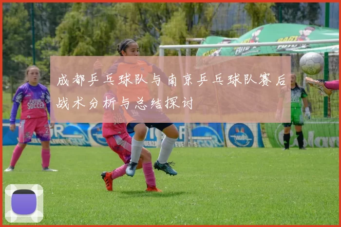 成都乒乓球队与南京乒乓球队赛后战术分析与总结探讨