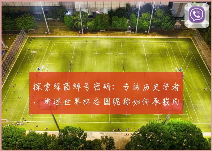 探索绿茵绰号密码:专访历史学者,讲述世界杯各国昵称如何承载民族精神