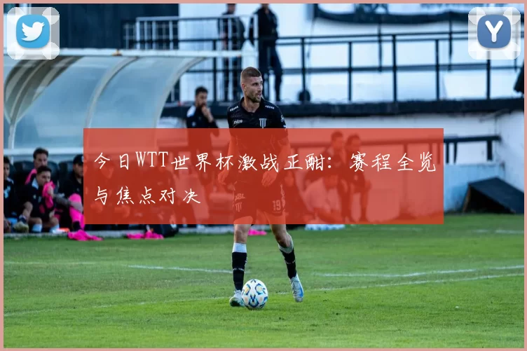 今日WTT世界杯激战正酣：赛程全览与焦点对决