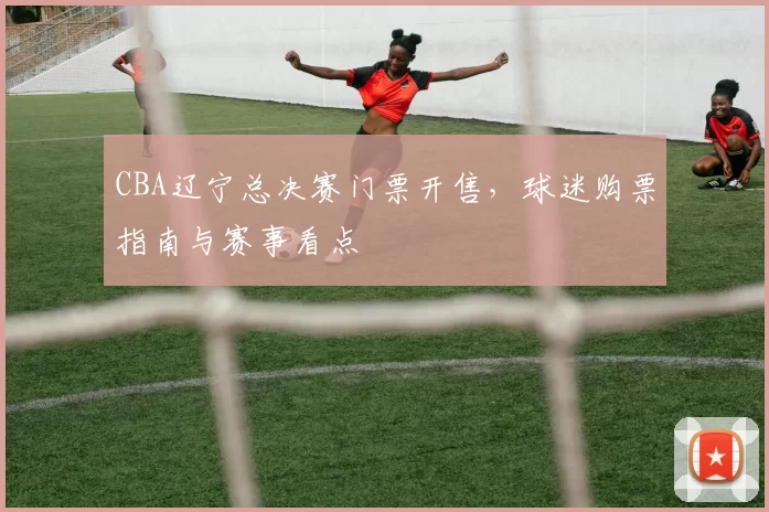 CBA辽宁总决赛门票开售，球迷购票指南与赛事看点