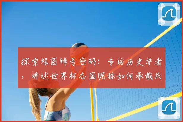 探索绿茵绰号密码：专访历史学者，讲述世界杯各国昵称如何承载民族精神