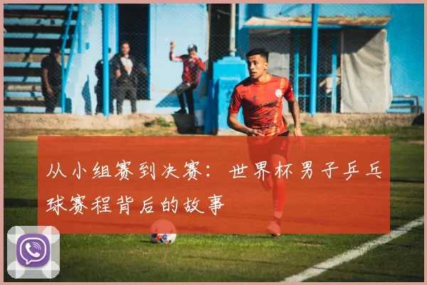 从小组赛到决赛：世界杯男子乒乓球赛程背后的故事