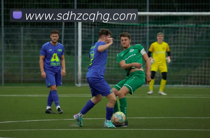 华体官网登录平台生态图