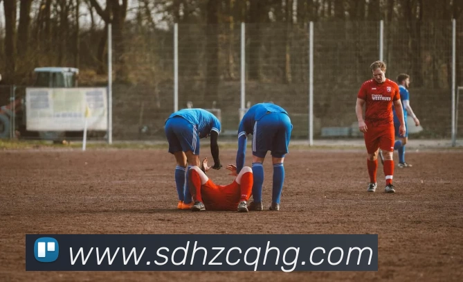 华体官网登录服务体系